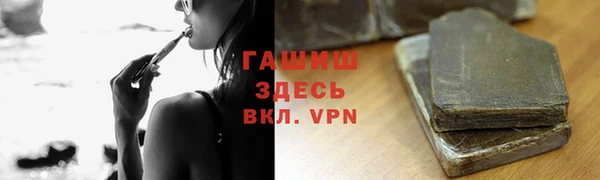 сатива Аркадак