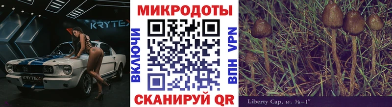 Псилоцибиновые грибы мицелий гидра ONION Валдай где купить наркоту